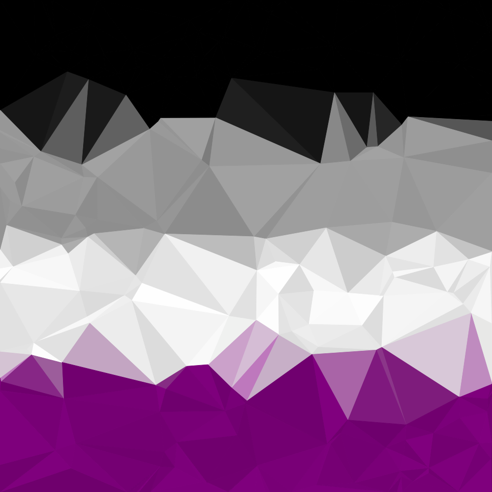 Abstract Asexual Pride Flag